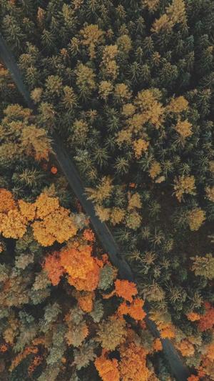 无锡seo排名工具截图5