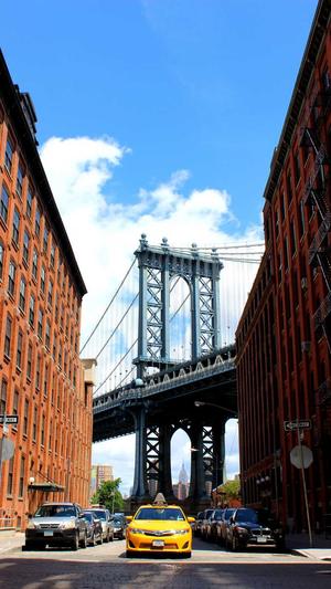 蜘蛛池免费代运营截图3