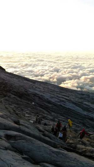 蜘蛛池出租出售信息截图2