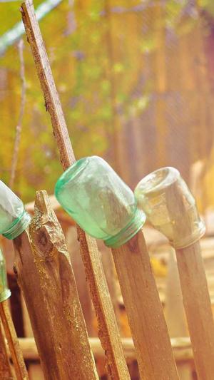 哪家网站建设截图2