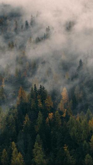 无锡网站建设设计截图4