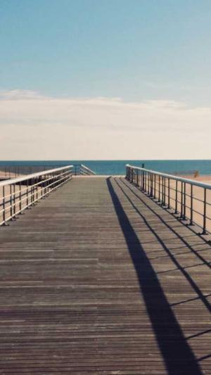 搜狗泛目录怎么弄截图2