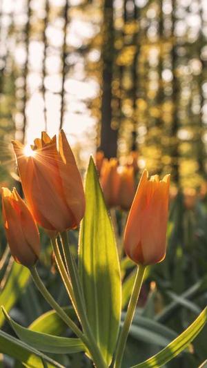 360seo关键词排名工具截图4