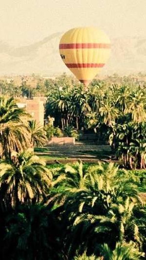 景观公司网站建设截图3