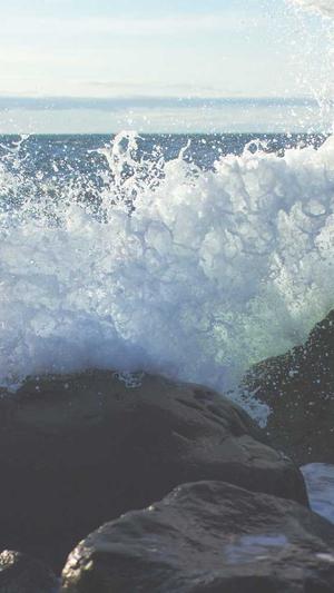 蜘蛛池教程视频大全截图3