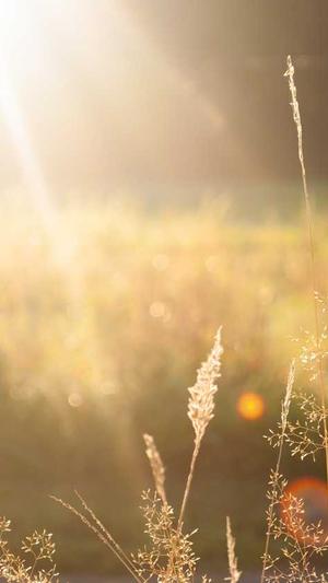 蜘蛛池软件排名截图1