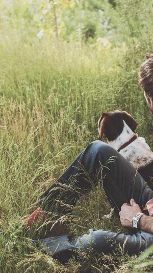 黑帽蜘蛛池培训截图1