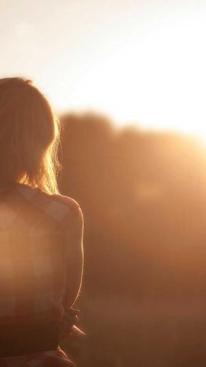 落月蜘蛛池站群系统截图2