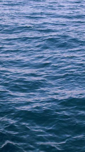 成都网站建设优化截图2