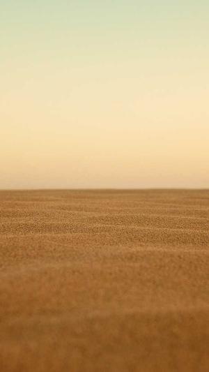 深圳谷歌seo工具截图2