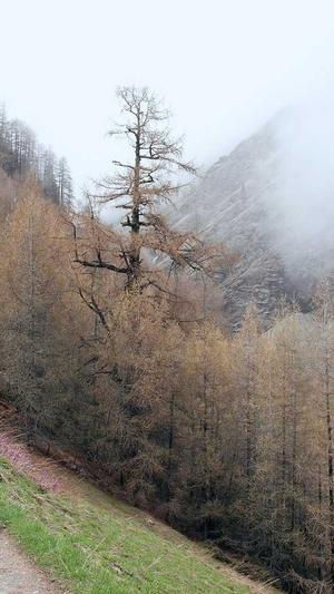 成都市 建设网站截图4