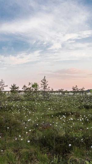 闵行网站建设截图5