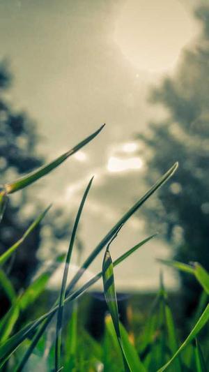 上海网站建设youhua168截图3