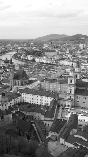 小旋风蜘蛛池怎么搭建截图3