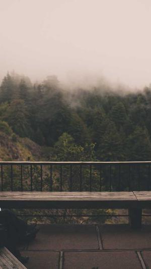 泛目录模板截图3