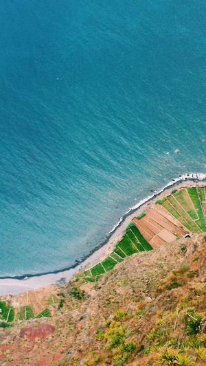 seo查询工具哪个好截图5