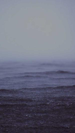 珠海seo优化截图1