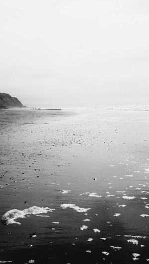 蜘蛛池高级版截图5