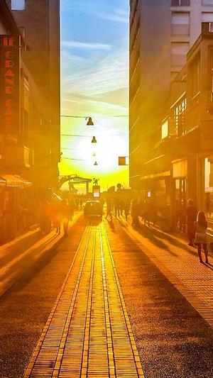 免费seo网站诊断截图3