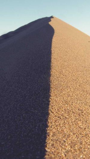 5个网站建设截图1