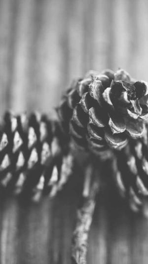 安庆网站建设截图3