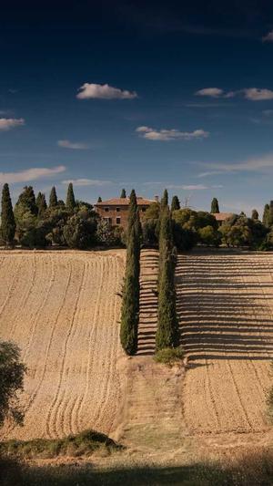 青海蜘蛛池出租包月截图3