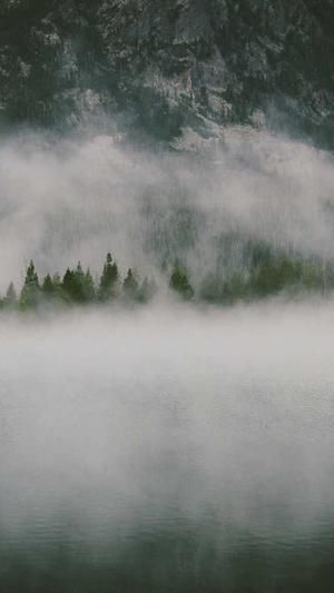 企业网站建设流程截图5