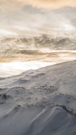 宝塔可以安装蜘蛛池吗截图4