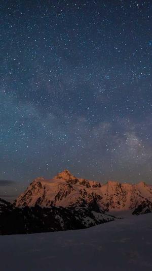 蜘蛛池教程视频大全截图5