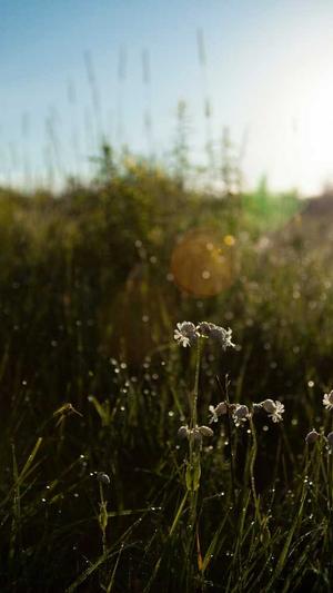 泛目录教程截图3