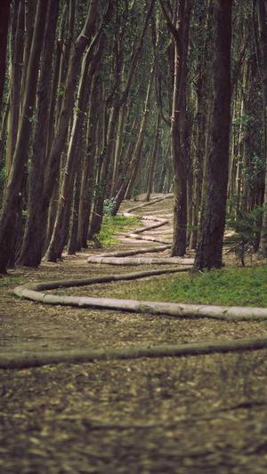 蜘蛛池 原理截图2