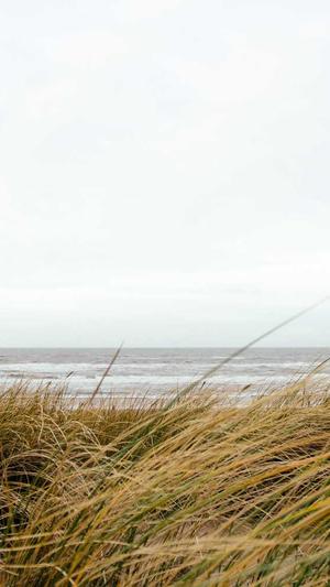 二级泛目录霸屏源码截图2