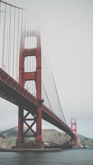 泛目录 是什么截图2