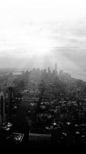 放蜘蛛池链接多久收录截图5