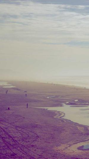 蜘蛛池怎么优化截图2