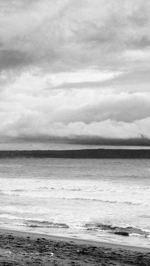 福建神马蜘蛛池租用截图2