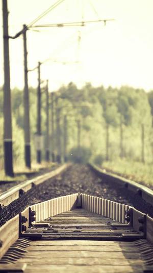 龙少泛目录站群截图2