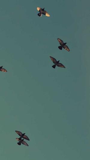 网站建设进度截图3