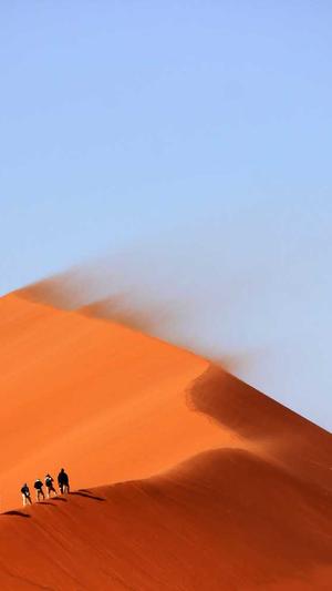 seo教程蜘蛛池秒收录截图1