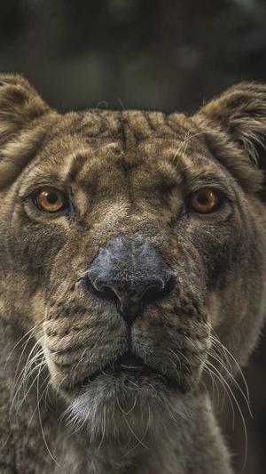 免费蜘蛛池平台截图1