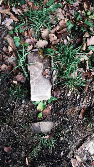 成都网站建设优化截图1