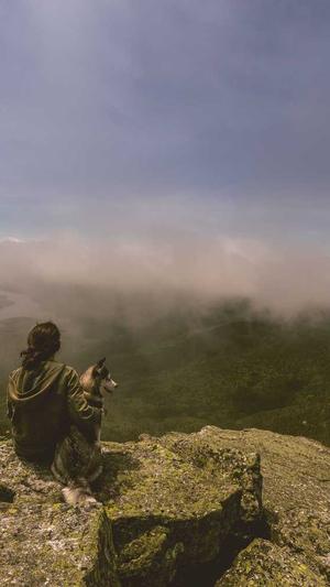 无锡站外seo推广工具截图3