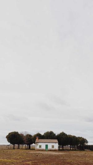 大连网站建设截图3