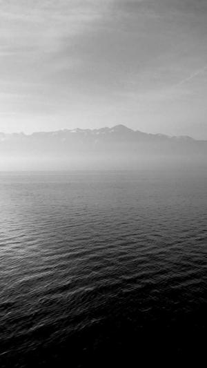 泛目录有什么用截图3