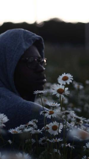 重庆稳定的seo优化工具截图4