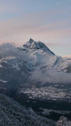 蜘蛛池是什么截图2