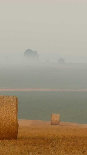 SEO优化教程截图2