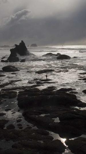 沈阳seo排名优化截图1