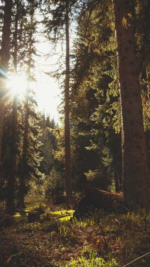 泛目录寄生虫程序截图4