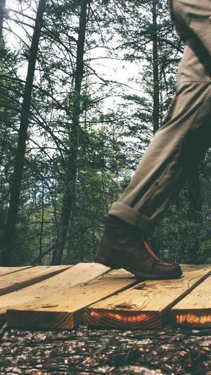 零距离泛目录官网营销截图5